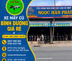 Xe máy cũ Bình Dương giá rẻ – Địa chỉ mua bán uy tín, nhiều mẫu đẹp 